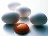 Яйца на завтрак каждый день - лучший способ сбросить вес