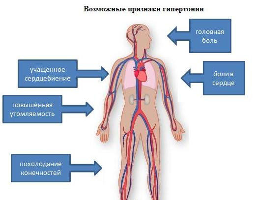 Симптомы гипертонии