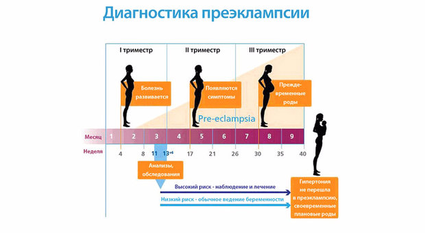 Диагностика перэклампсии