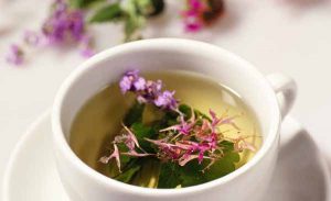 чай на основе листьев и цветков кипрея 