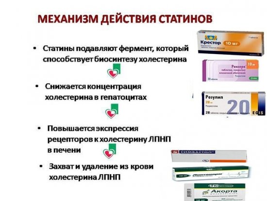 Механизм действия статинов