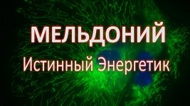 Мельдоний истинный энергетик