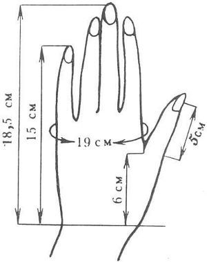 Как правильно измерить руку, фото № 1
