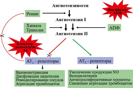 Блокаторы рецепторов ангиотензина