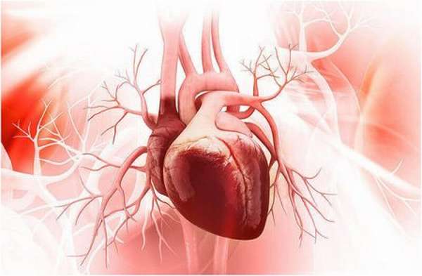 Причины инфаркта в 20 лет, симптомы патологического состояния, оказание помощи