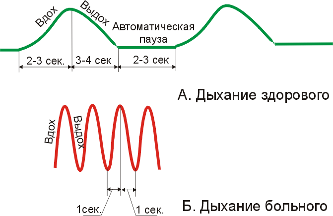 Дыхание по методу Бутейко