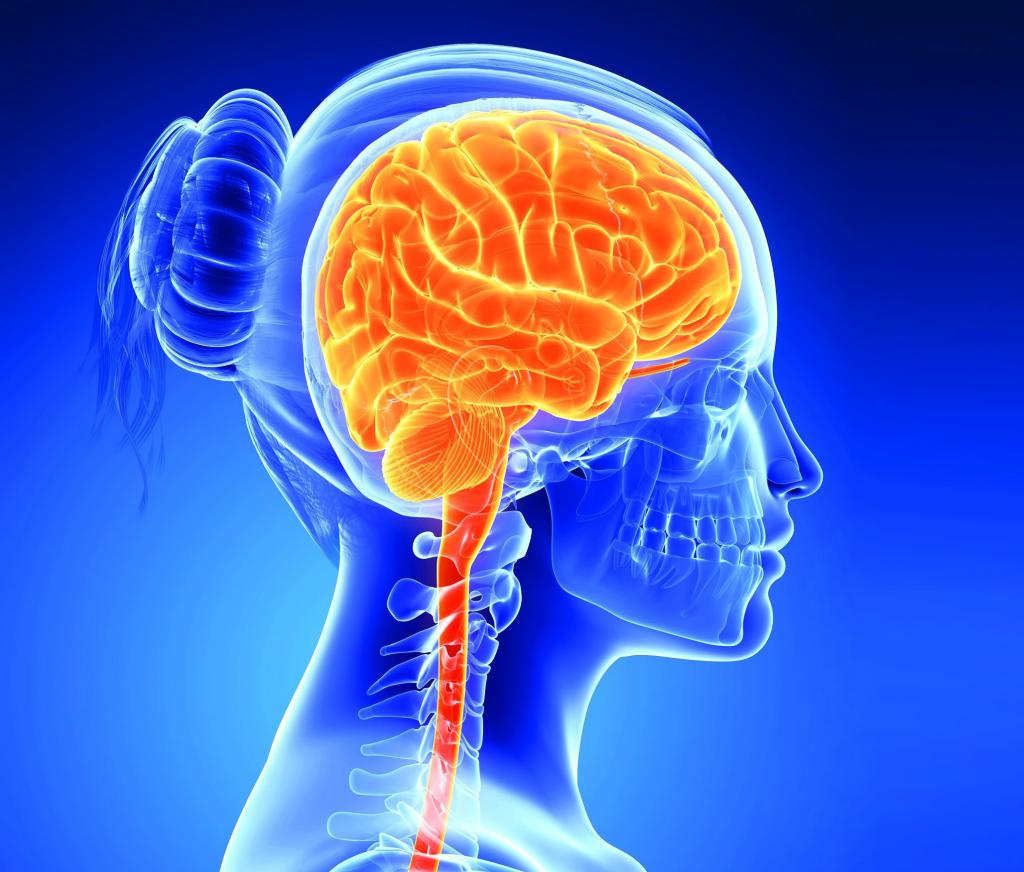 Шунтирование головного мозга при гидроцефалии у взрослых