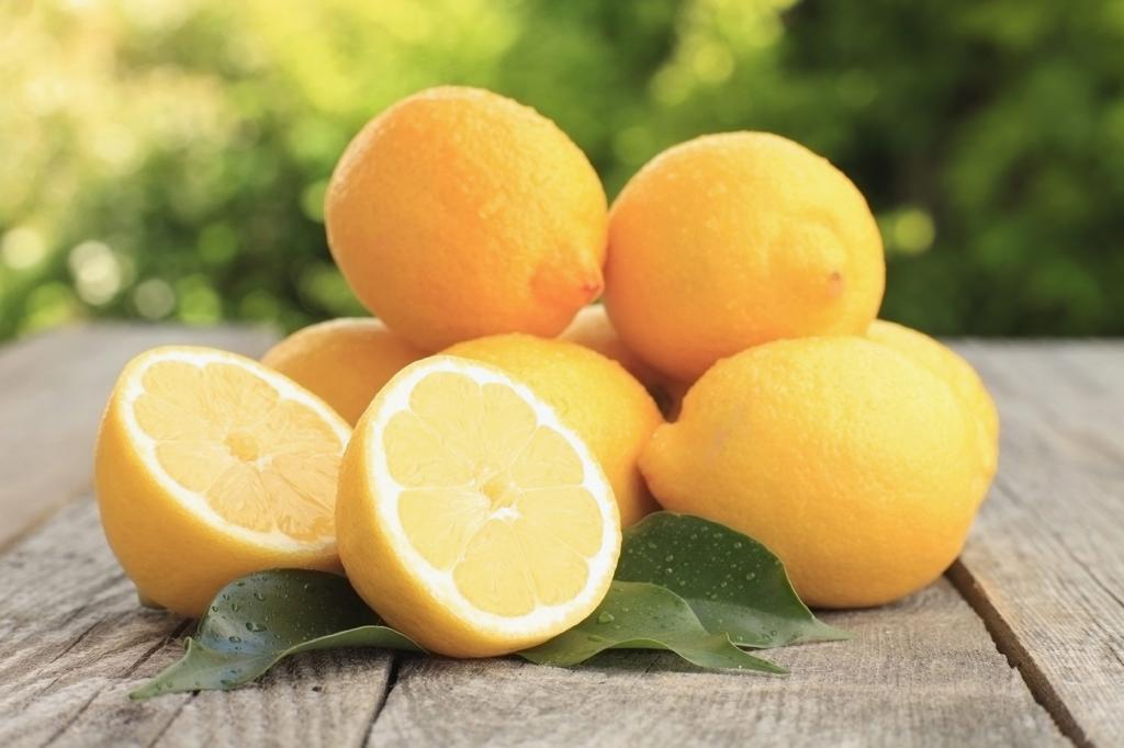 Цитрус желтый лимон.