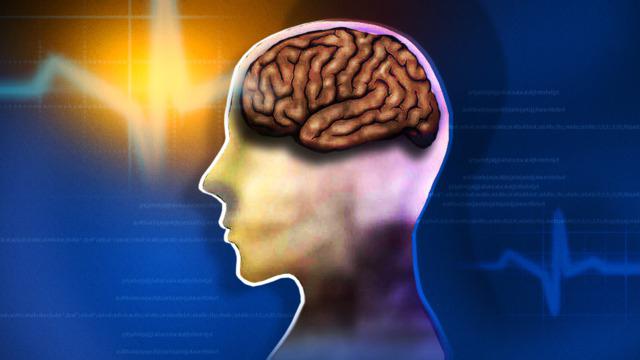 лекарства для улучшения работы мозга и памяти