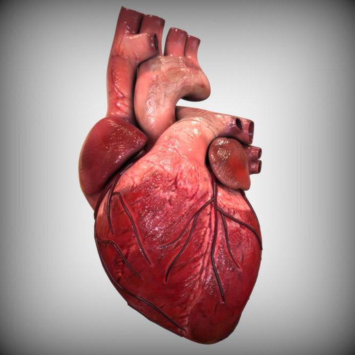 врожденные пороки сердца аортального клапана