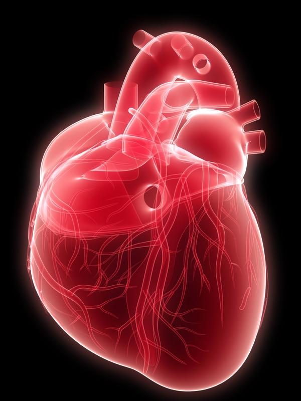 радиочастотная катетерная абляция сердца