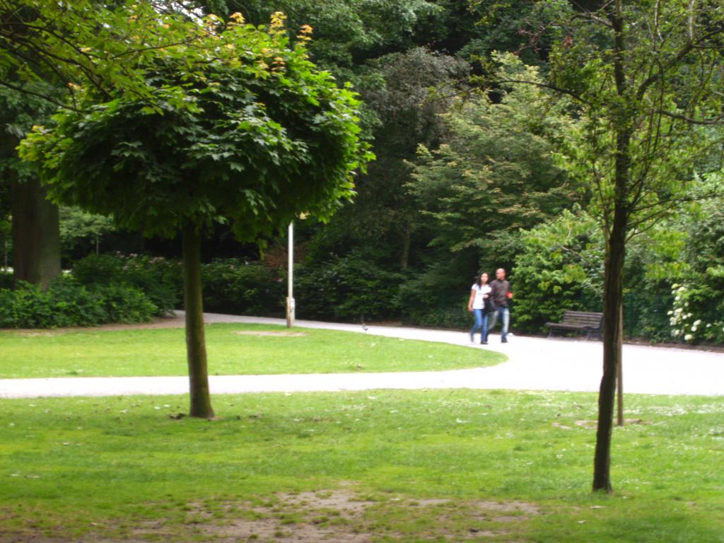 прогулка в парке