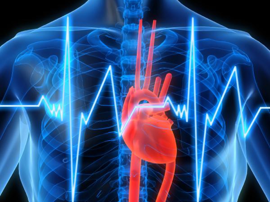 Что можно диагностировать с помощью УЗИ сердца