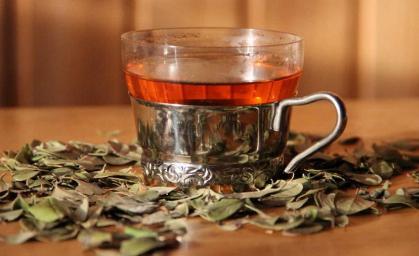 Чая из листьев брусники
