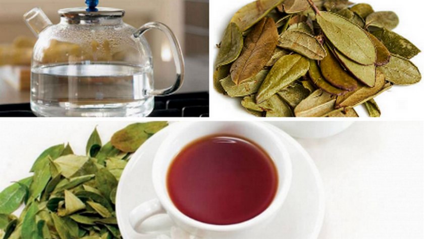 Чай с листьями брусники