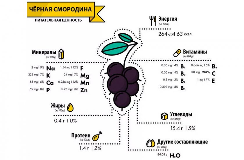 Состав чёрной смородины