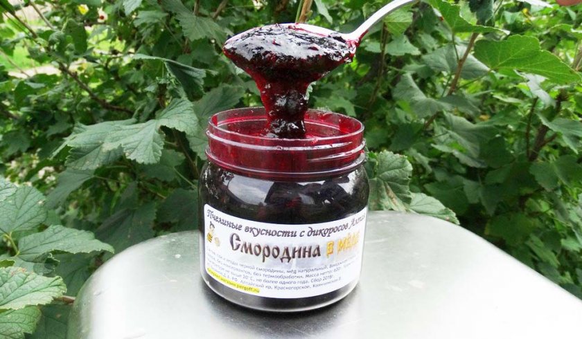 Чёрная смородина с мёдом