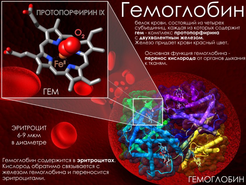 Повышение гемоглобина смородиной