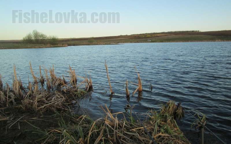 Щучья волна на водоеме.