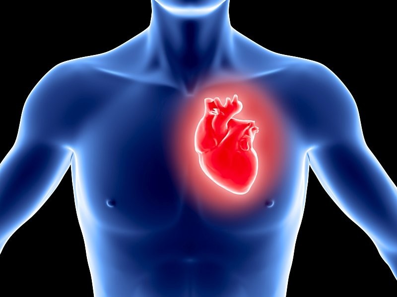 Показатели давления и работа сердца взаимосвязаны