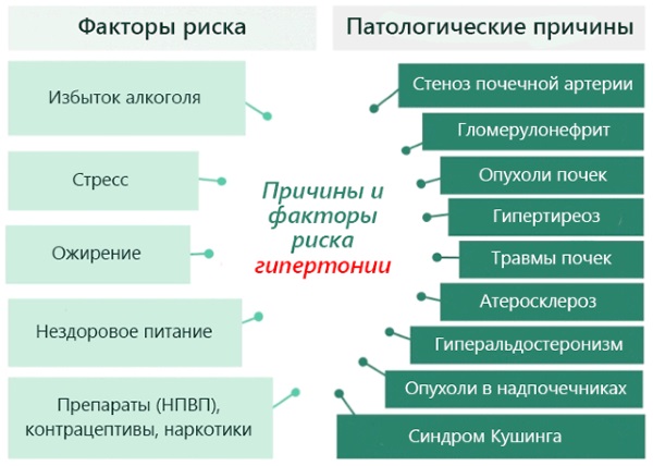 Народные средства от давления. Лечение методом Шишонина, как понизить гомеопатией, без лекарств