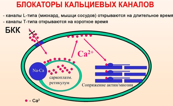 Препараты в таблетках от повышенного давления. Список по алфавиту, названия, цены