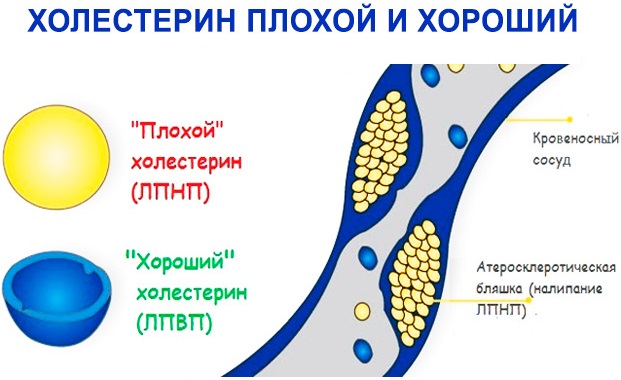 Куркума. Польза, как принимать в лечебных целях при онкологии, для печени, суставов, снижения веса, холестерина