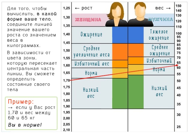 Препараты для чистки сосудов от холестерина и бляшек, травы, народные средства