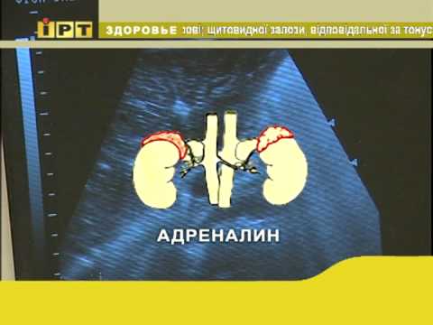 Пролапс митрального клапана: код болезни по МКБ 10