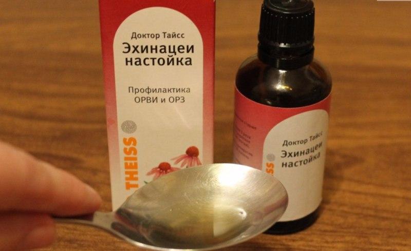 Настойка эхинацеи
