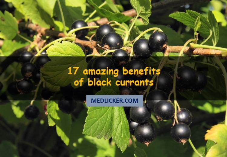 17 benefits of black currant