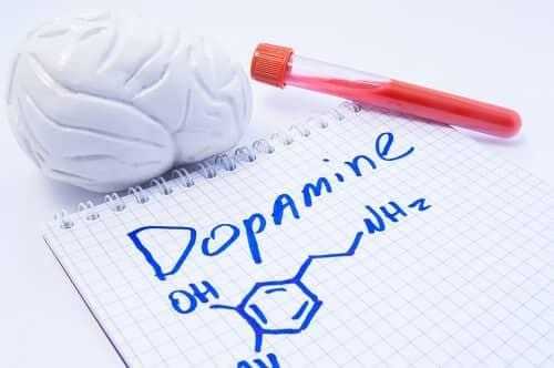 Дофамин – нейромедитор