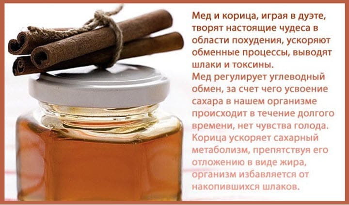 полезные свойства корицы с медом