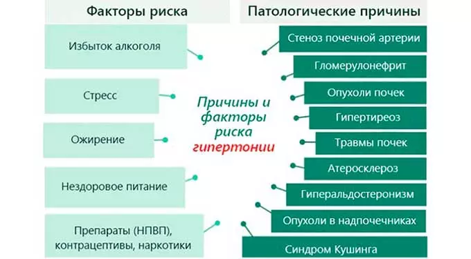 Причины и факторы риска гипертонии