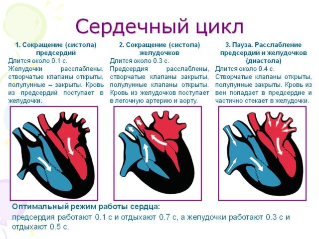 Определение