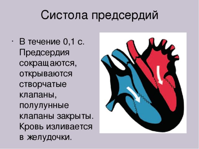 Понятие систолы