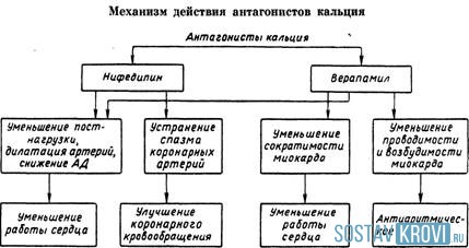 Как действуют