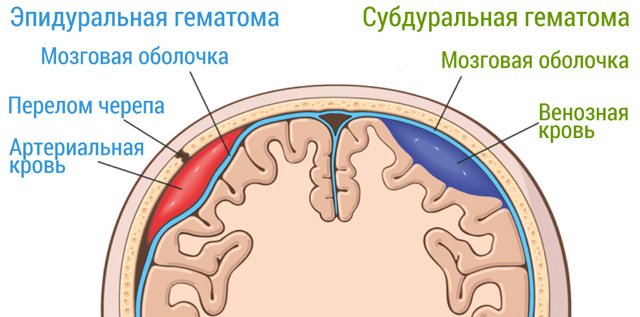 54684846