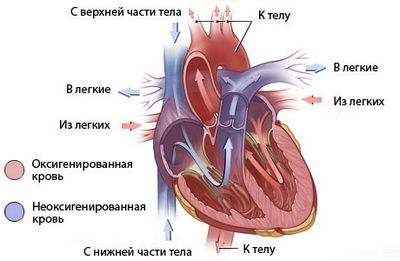 488484848