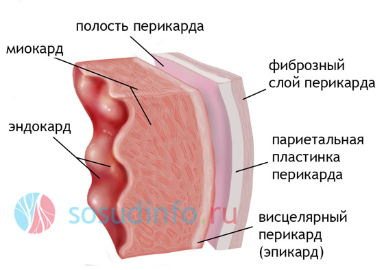 54684648