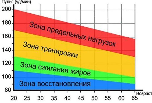 Вычисляем идеальный пульс при беге для сжигания жира и безопасного тренинга