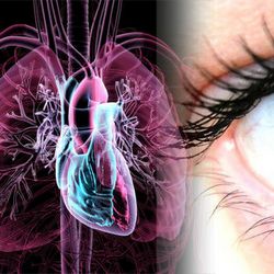 6 необычных признаков болезней сердца, которые видны на ваших ногтях, глазах и ушах