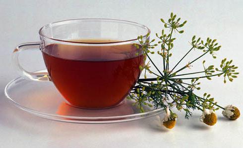ромашковый чай польза и вред
