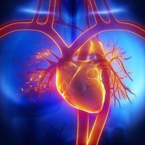 признаки стенокардии сердца